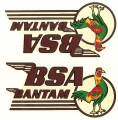 BS17 ADESIVO BSA BANTAM (COPPIA)